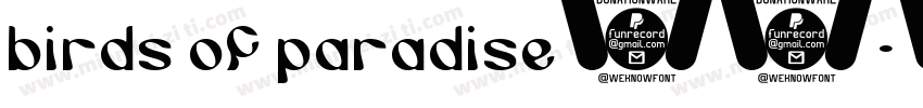 birds of paradise字体字体转换